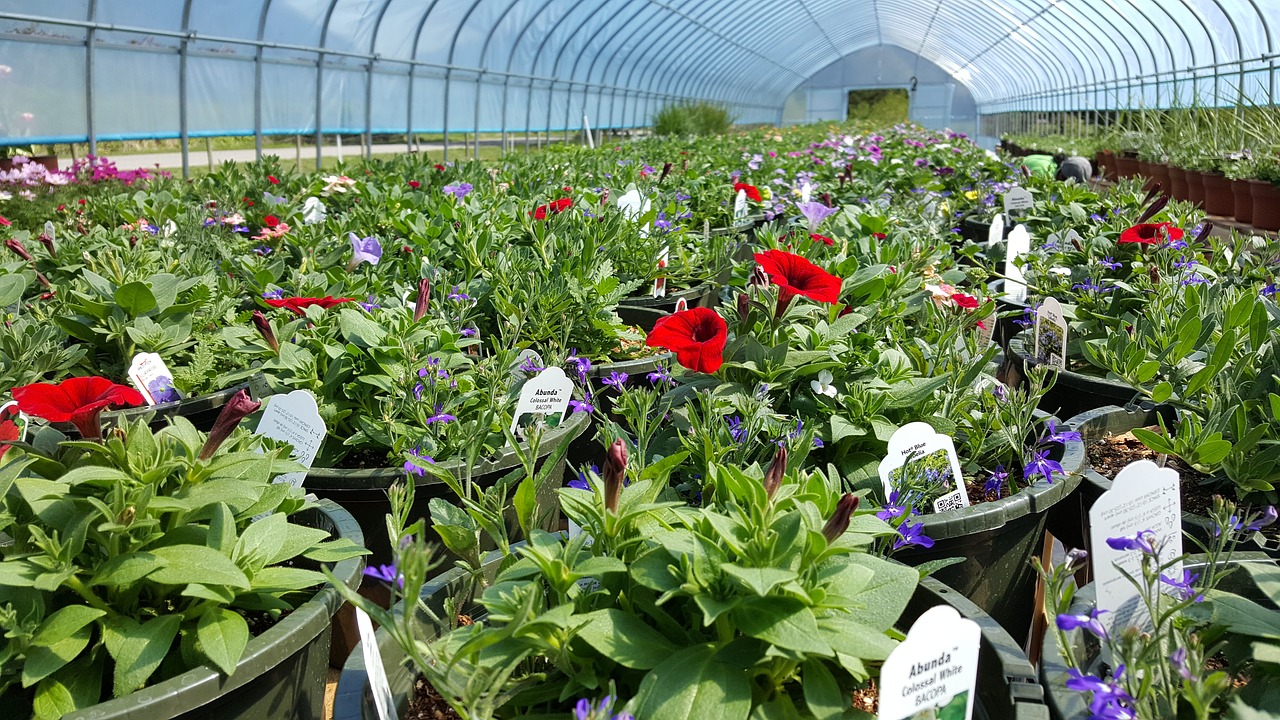 Plant nursery