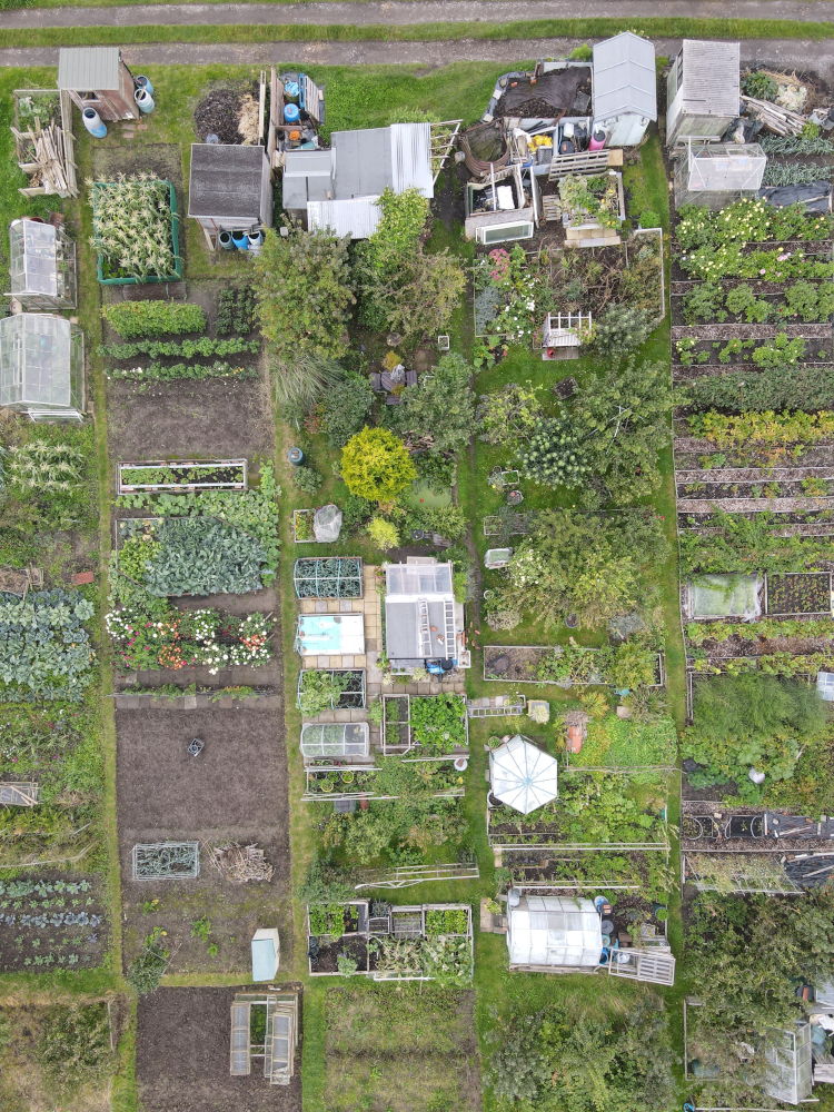 Birdseye view of an allotment site.