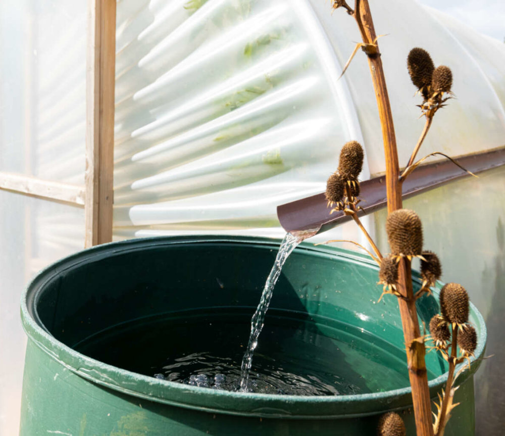 Rainwater collection from the side of a polytunnel