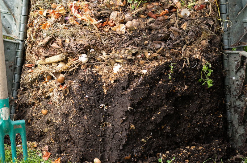 An open compost bin showing the layers of decomposition.