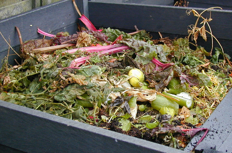 A range of fresh green and brown materials at the top of a compost bin. 