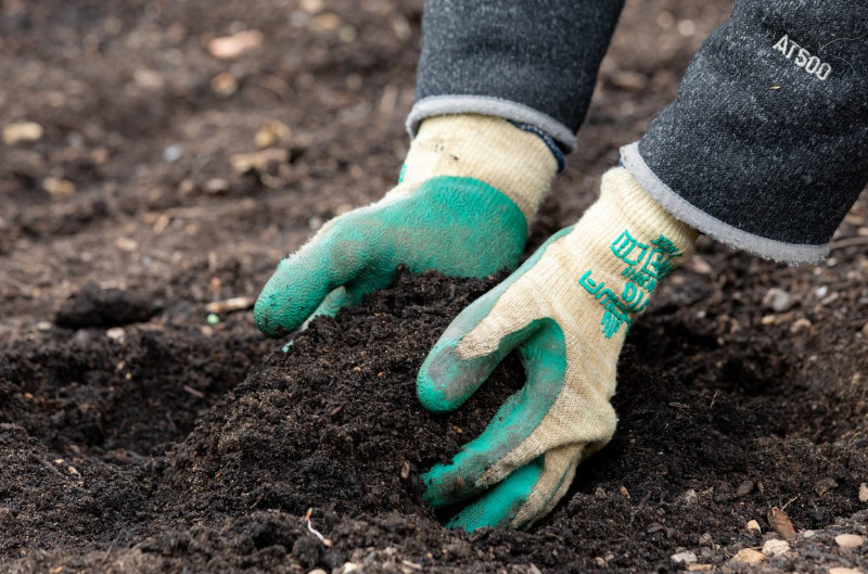 Gloved hands spreading compost onto soil.