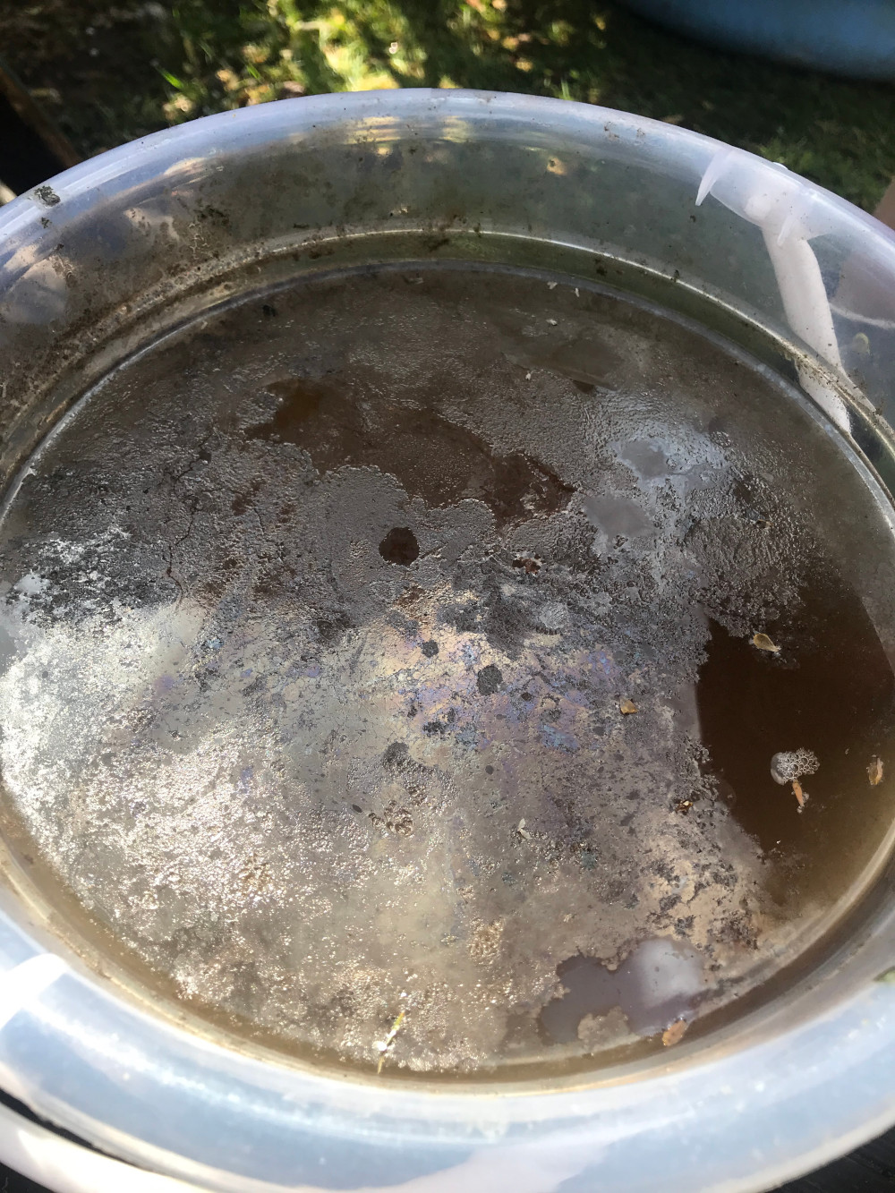 Drowning weeds in a buket of water