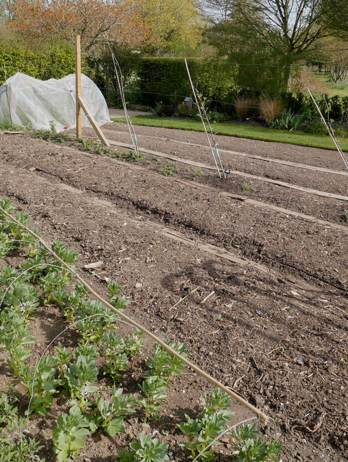 No dig beds prepared and ready for planting. 