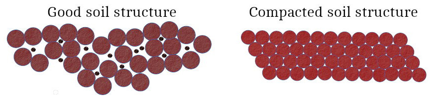 illustration of soil structure