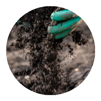 Adding organic matter to soil. 