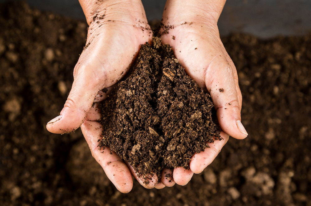 Hands holding healthy soil