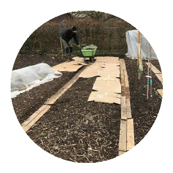 Adding organic matter to soil. 