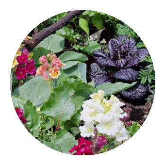A mixture of planting is ideal for encouraging biodiversity. 