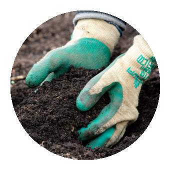 Gloved hands spreading compost onto soil